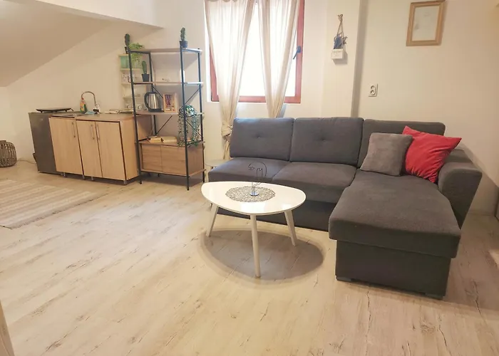 Red Clay Club Beograd